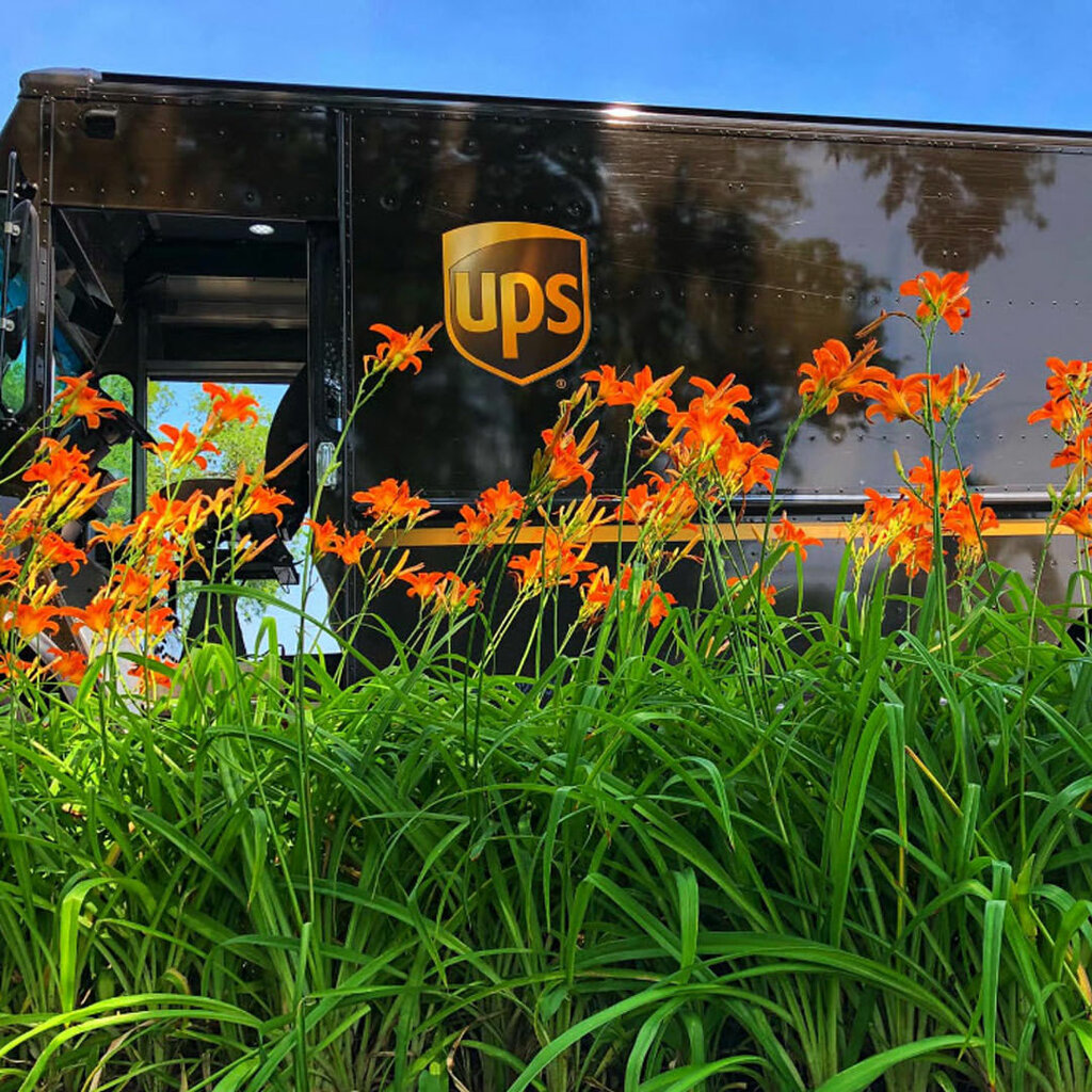 Haulage Ups, Dubai, photo