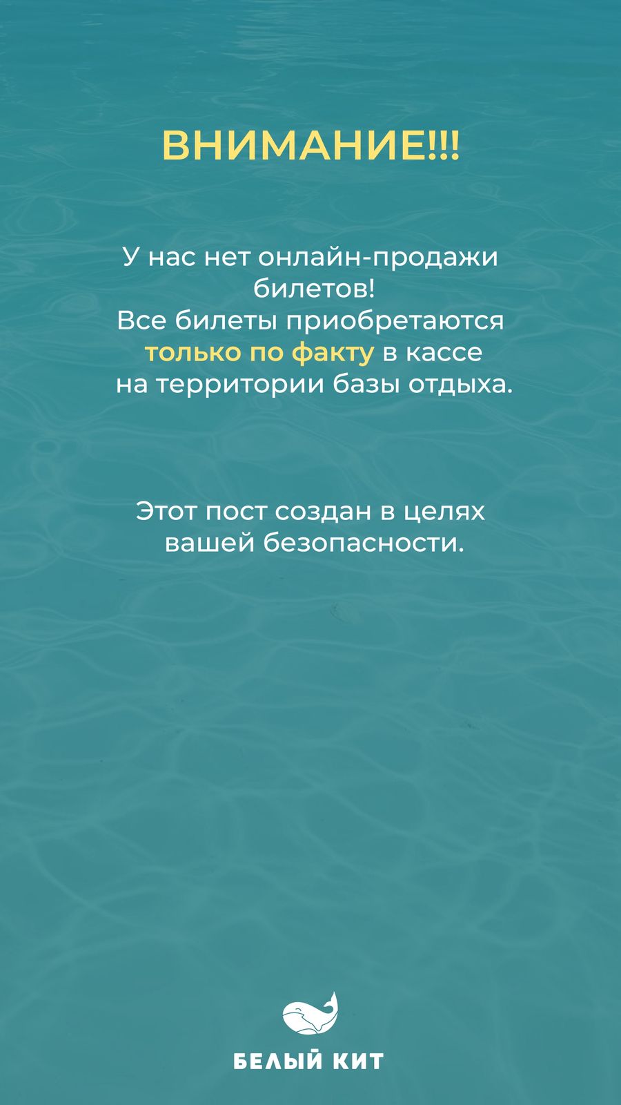 Фото Белый кит