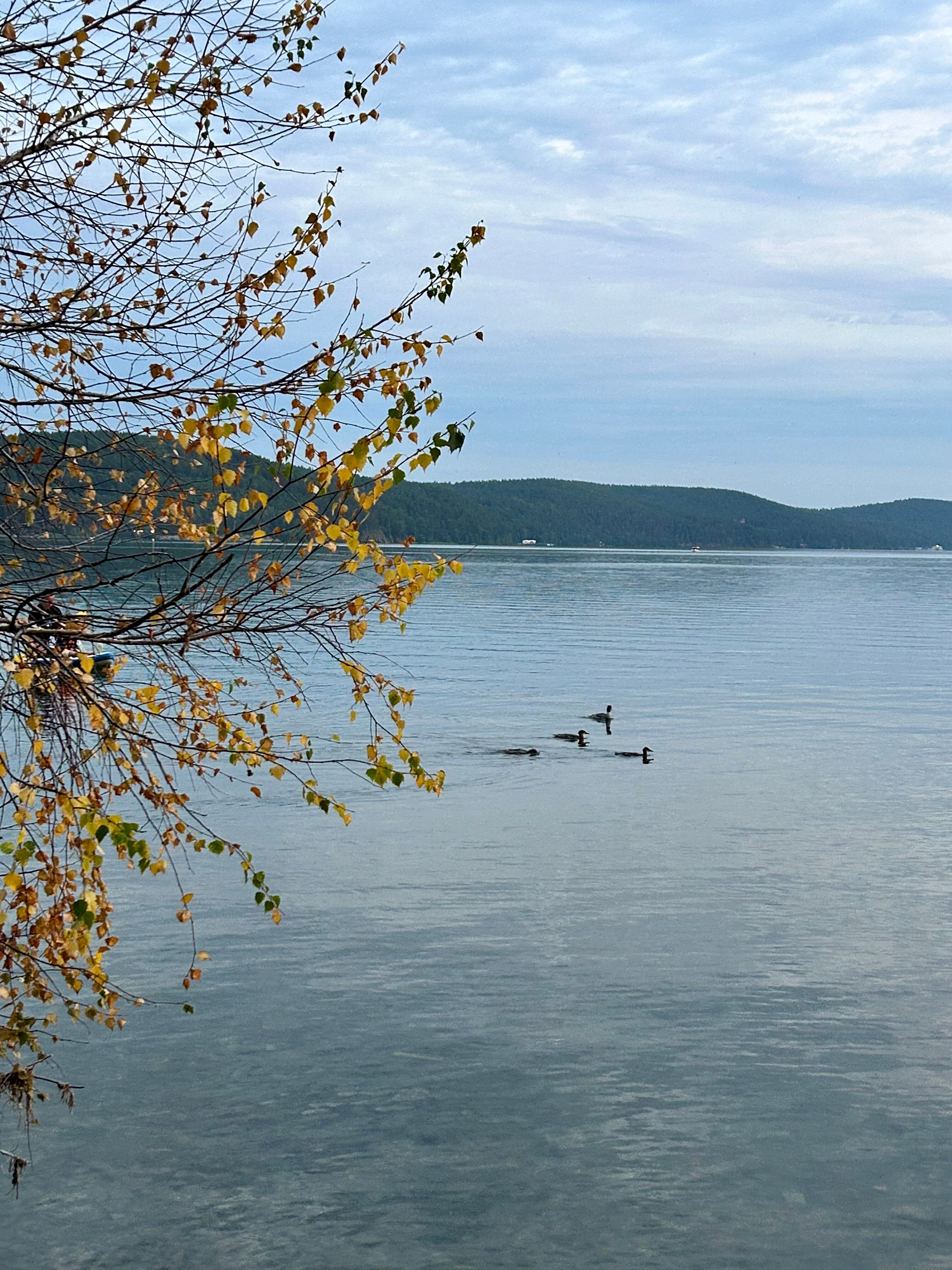 Фото Дом на берегу Тургояка