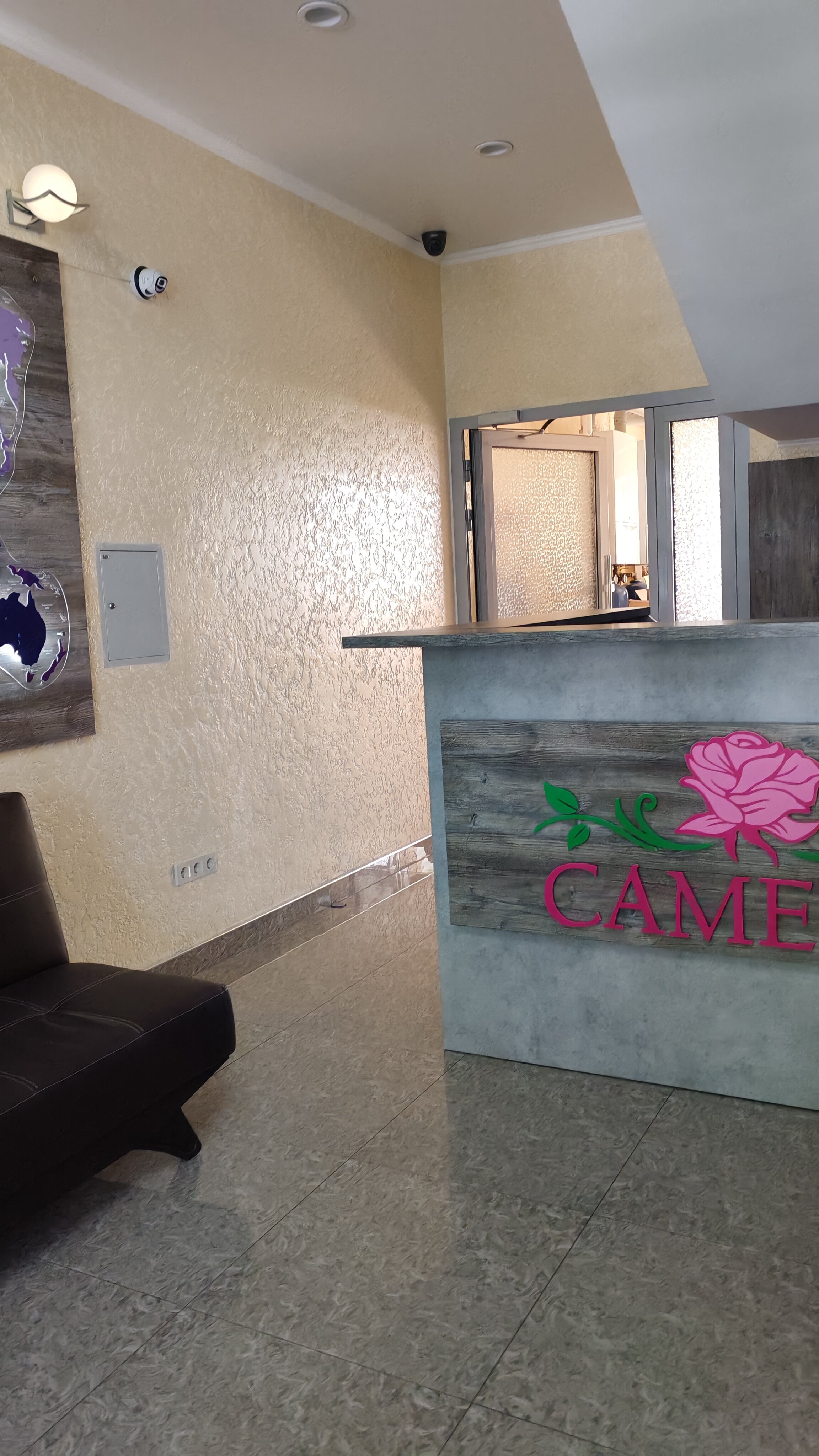 Фото Камелия