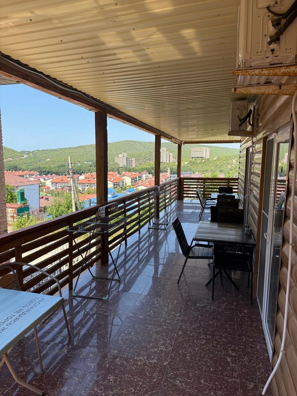 Фото Пальма Финик