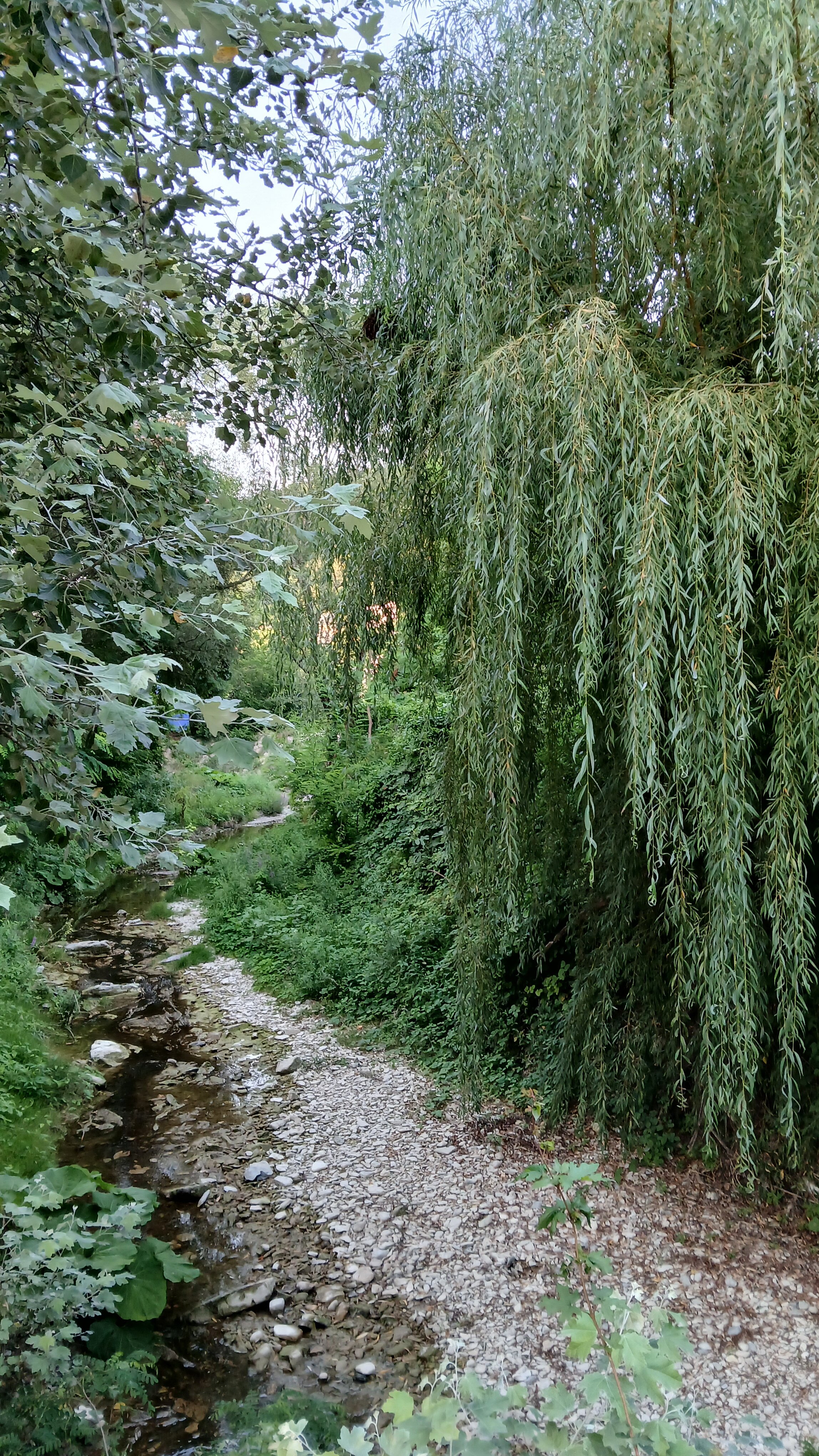 Фото Джульетта