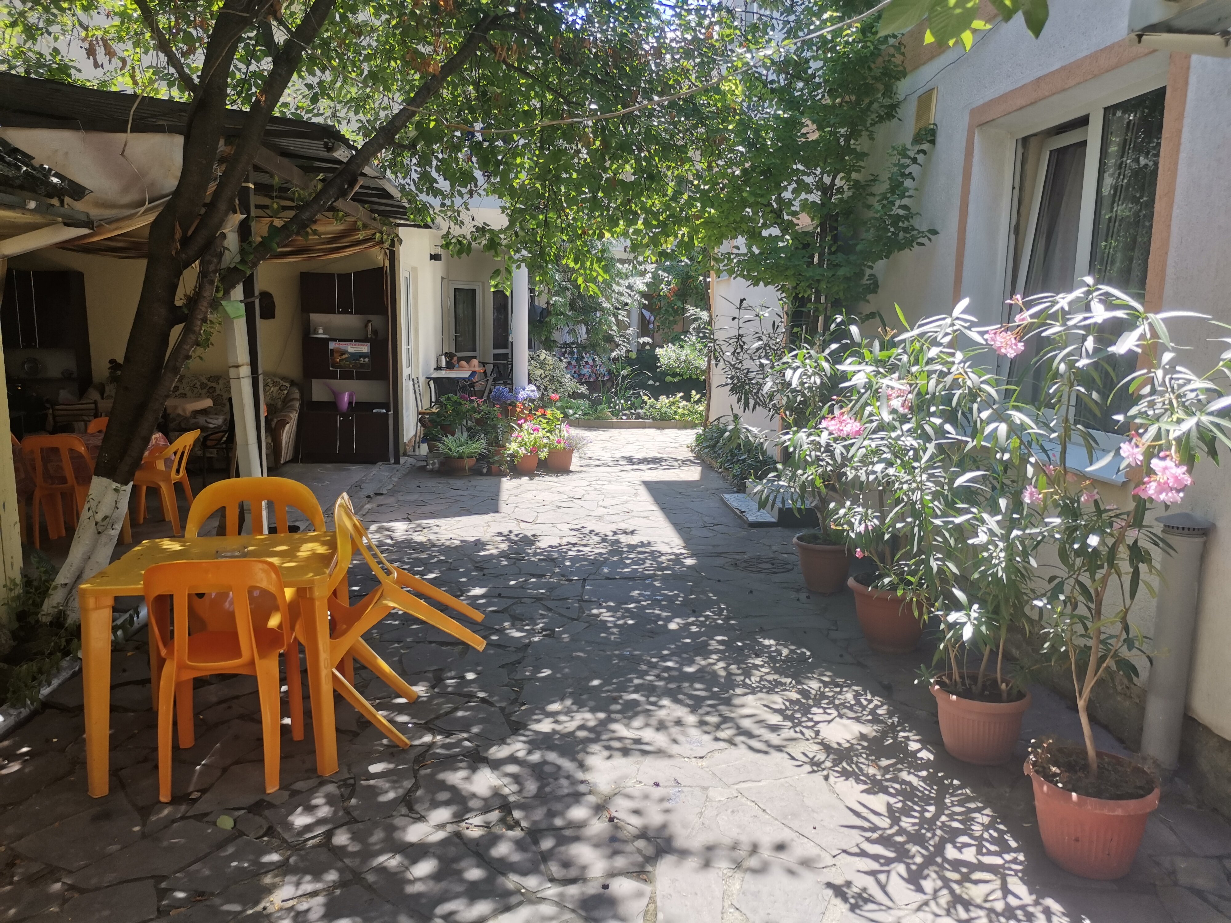 Фото У Александра