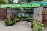Лето Сибири (село Берёзово, ул. Абызова, 74), садовый центр в Кемеровской области (Кузбассе)