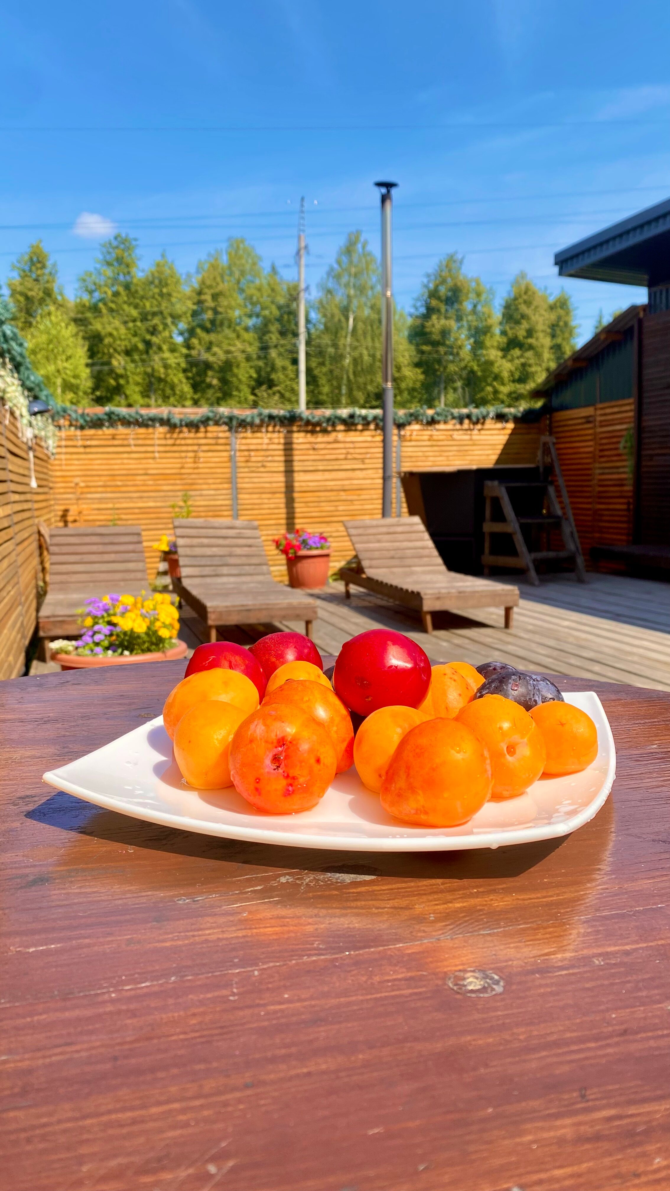 Фото Домик Рокс