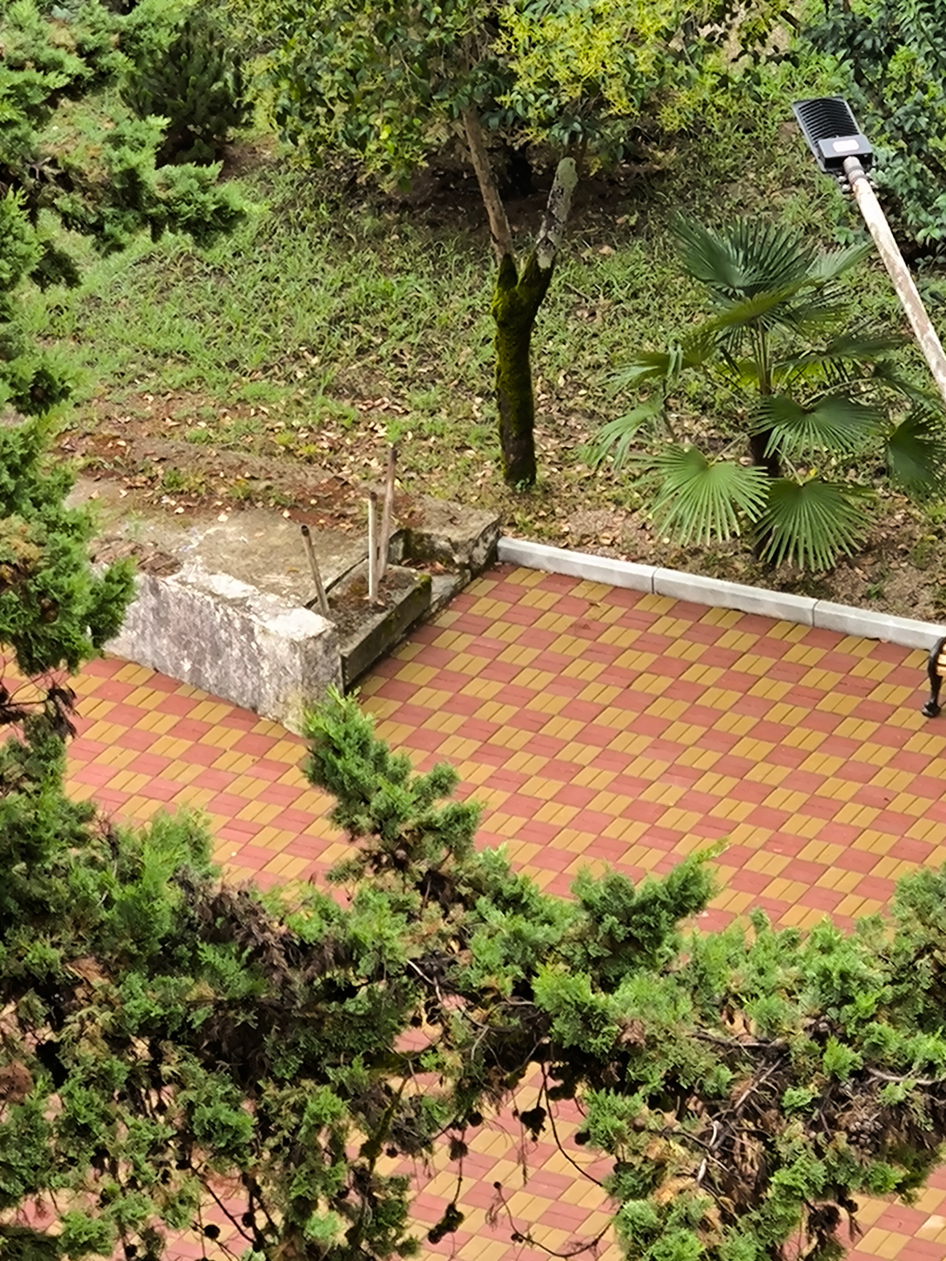 Фото Парк-отель Черноморец