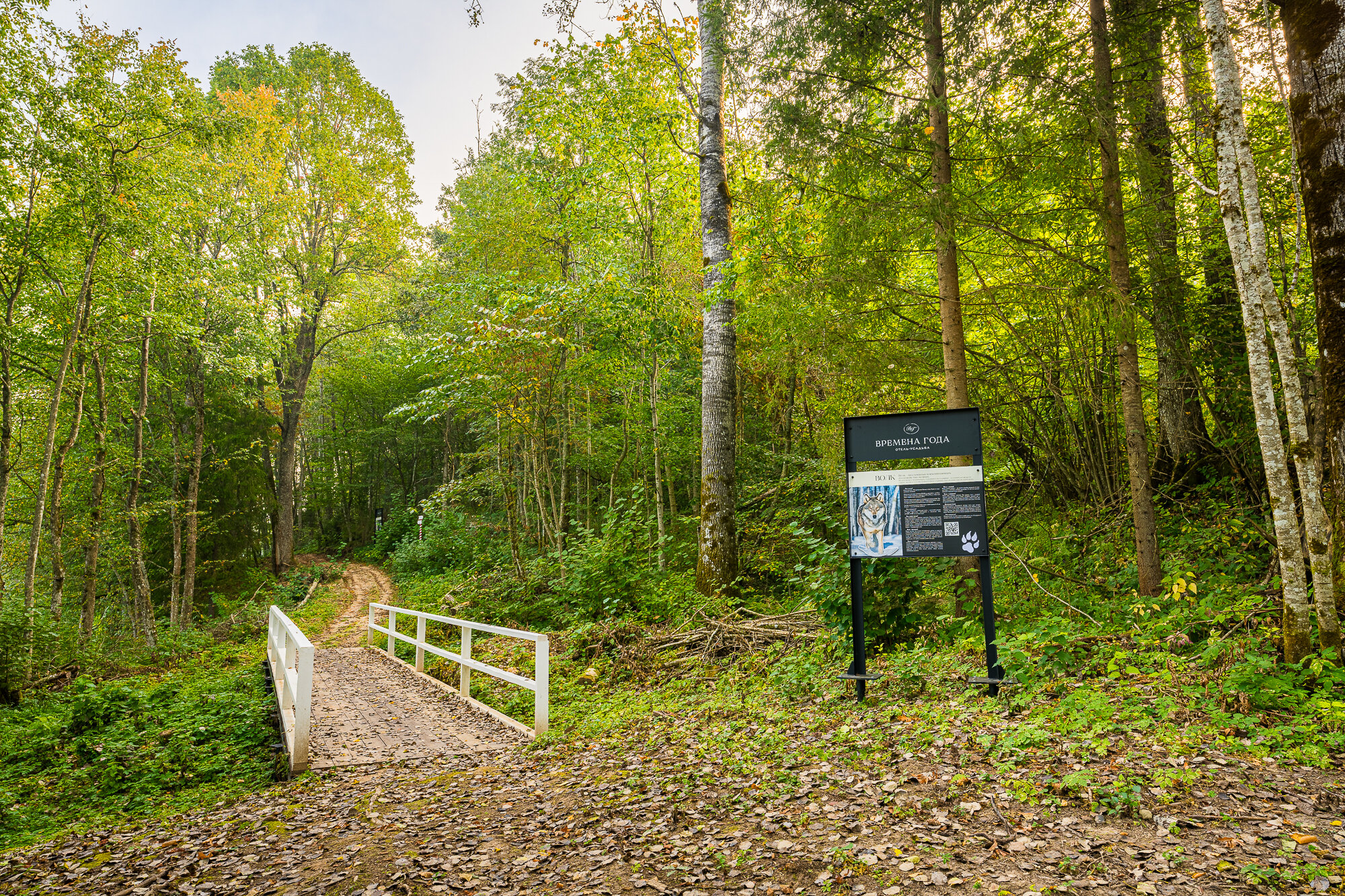 Фото  Времена года