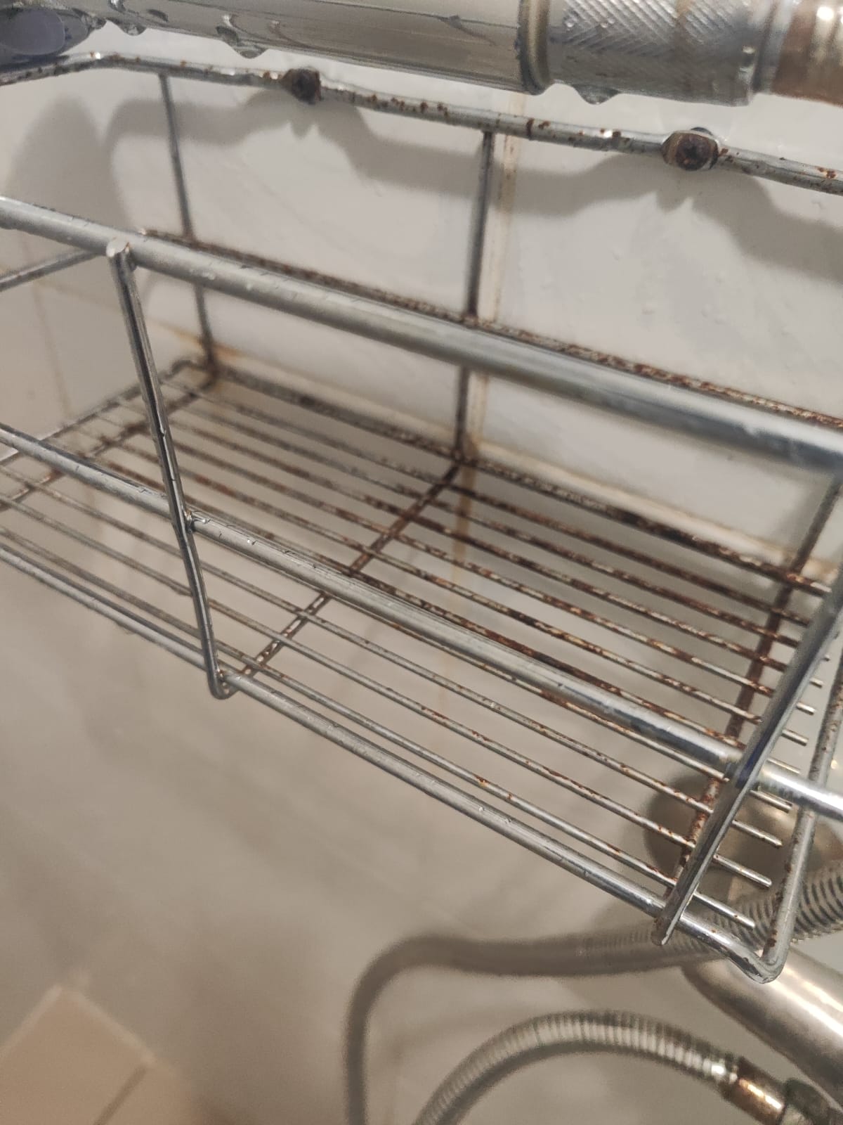 Фото Семейный