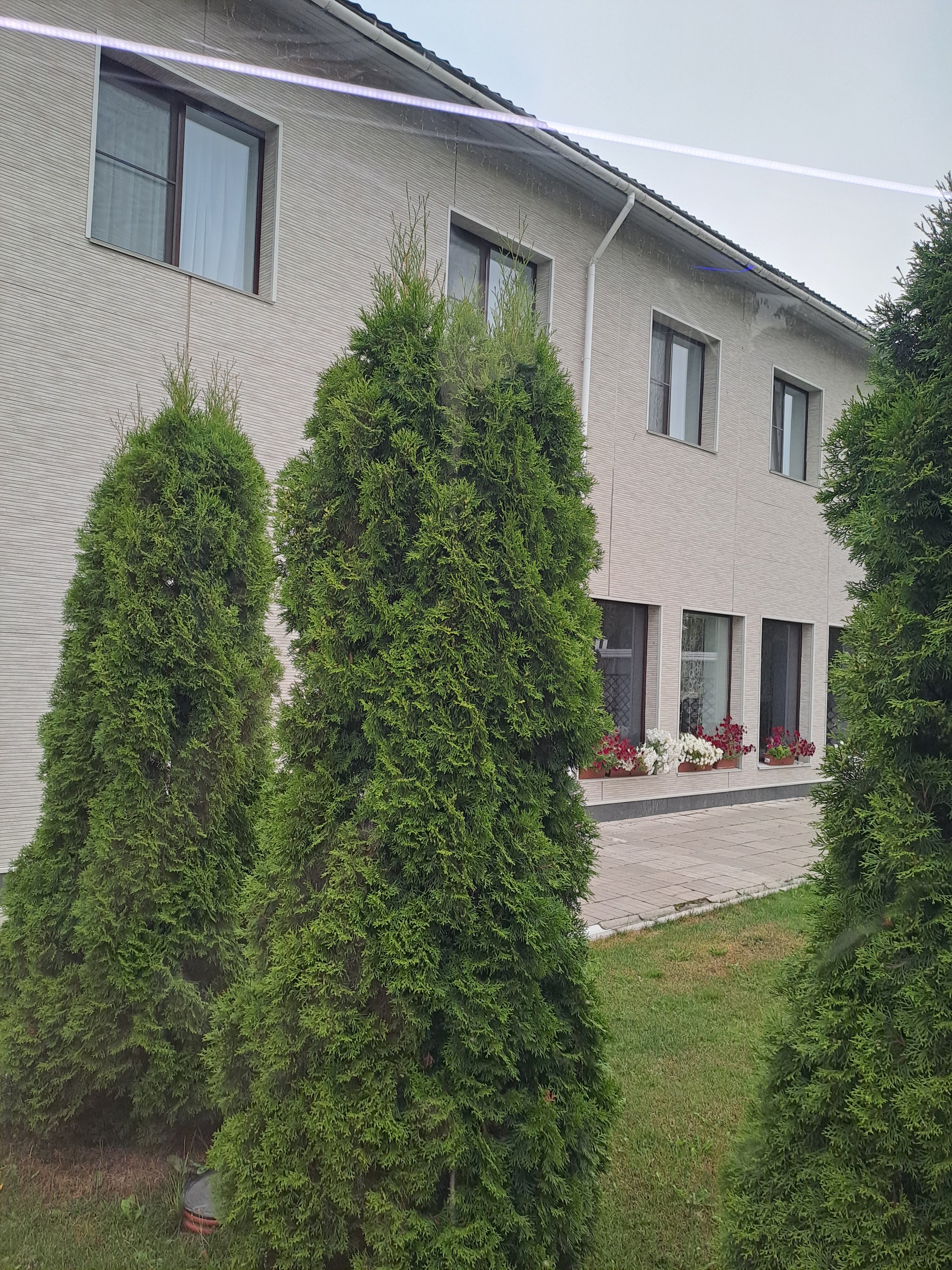 Фото Ладога