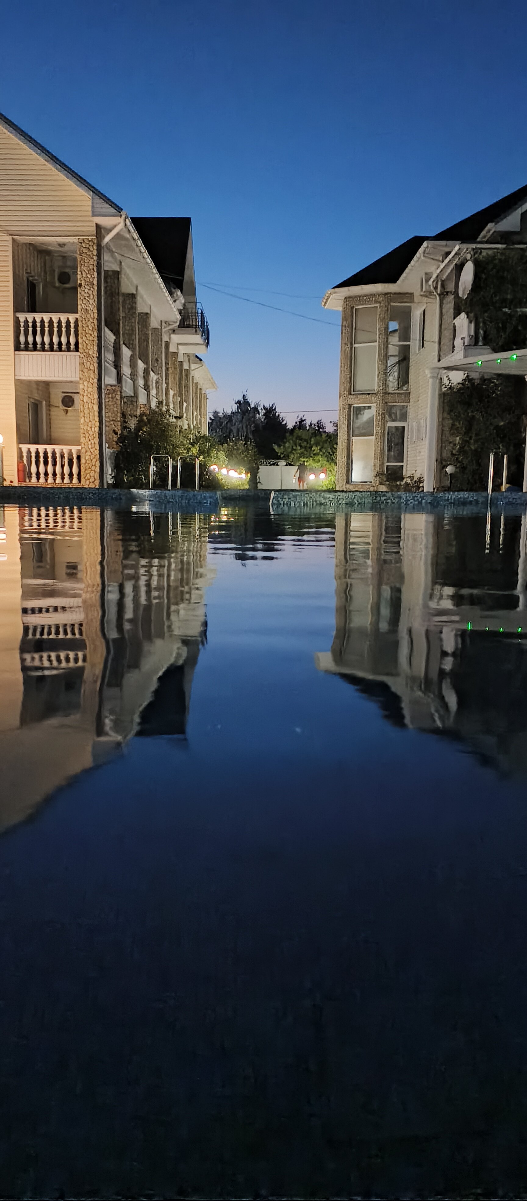 Фото Альбатрос