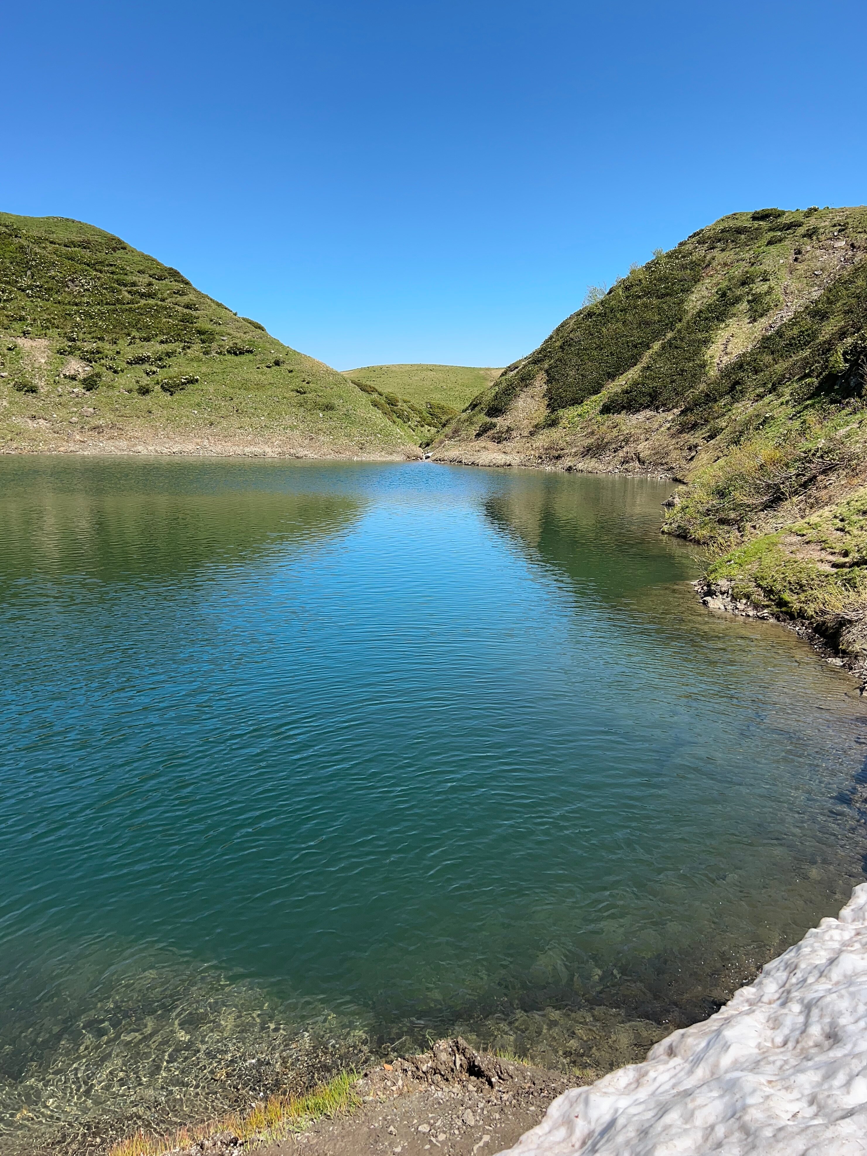 Фото Сосновый бор