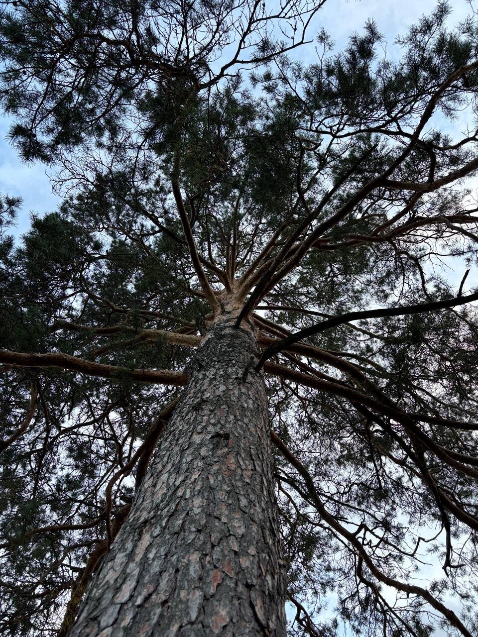 Фото Усадьба Груздева