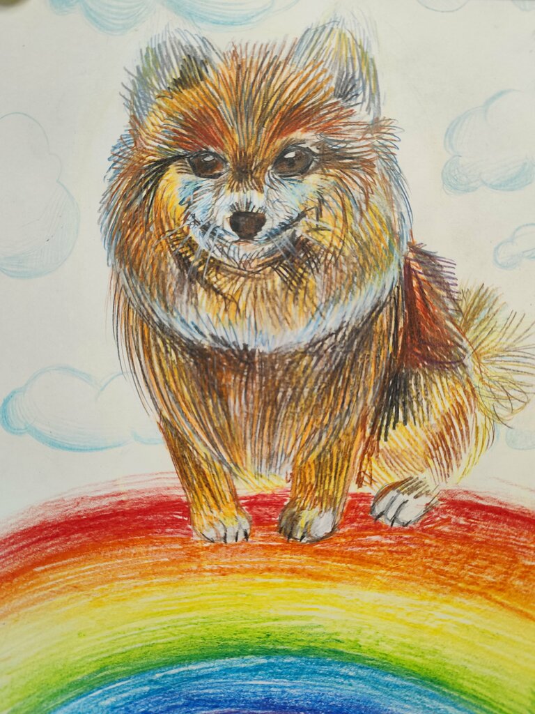 Children's developmental center For the Soul - Art Studio, Dmitrov, photo