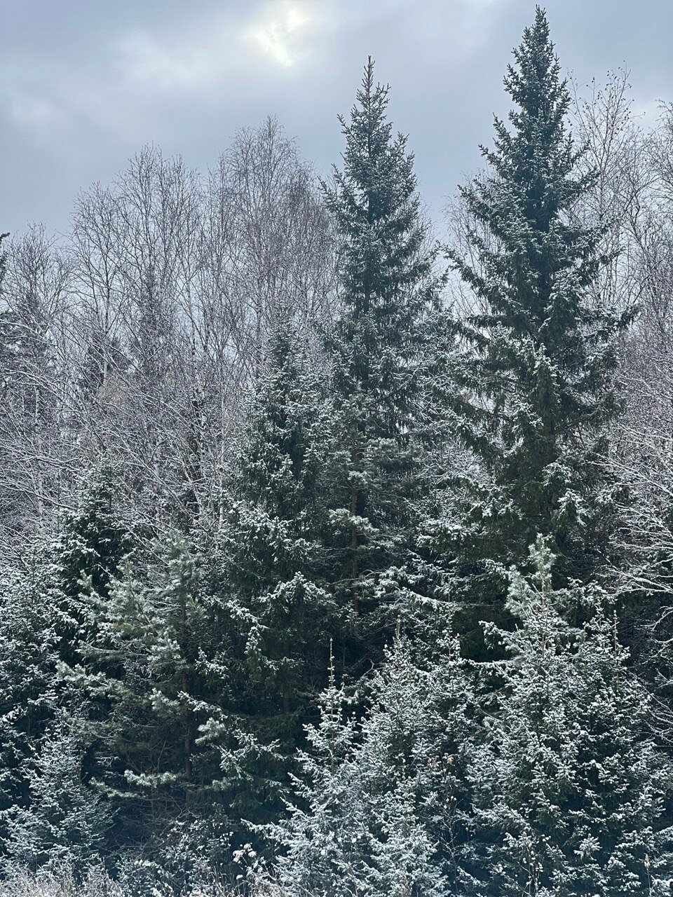 Фото Загляденье