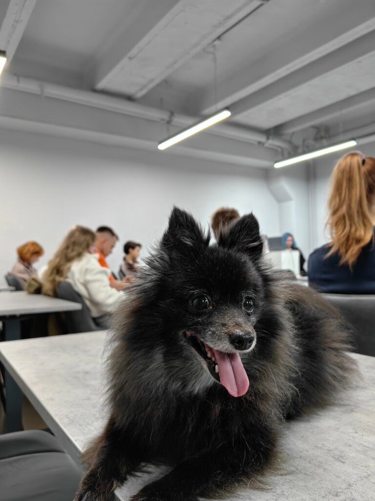 Educational center Оригами, Zelenograd, photo