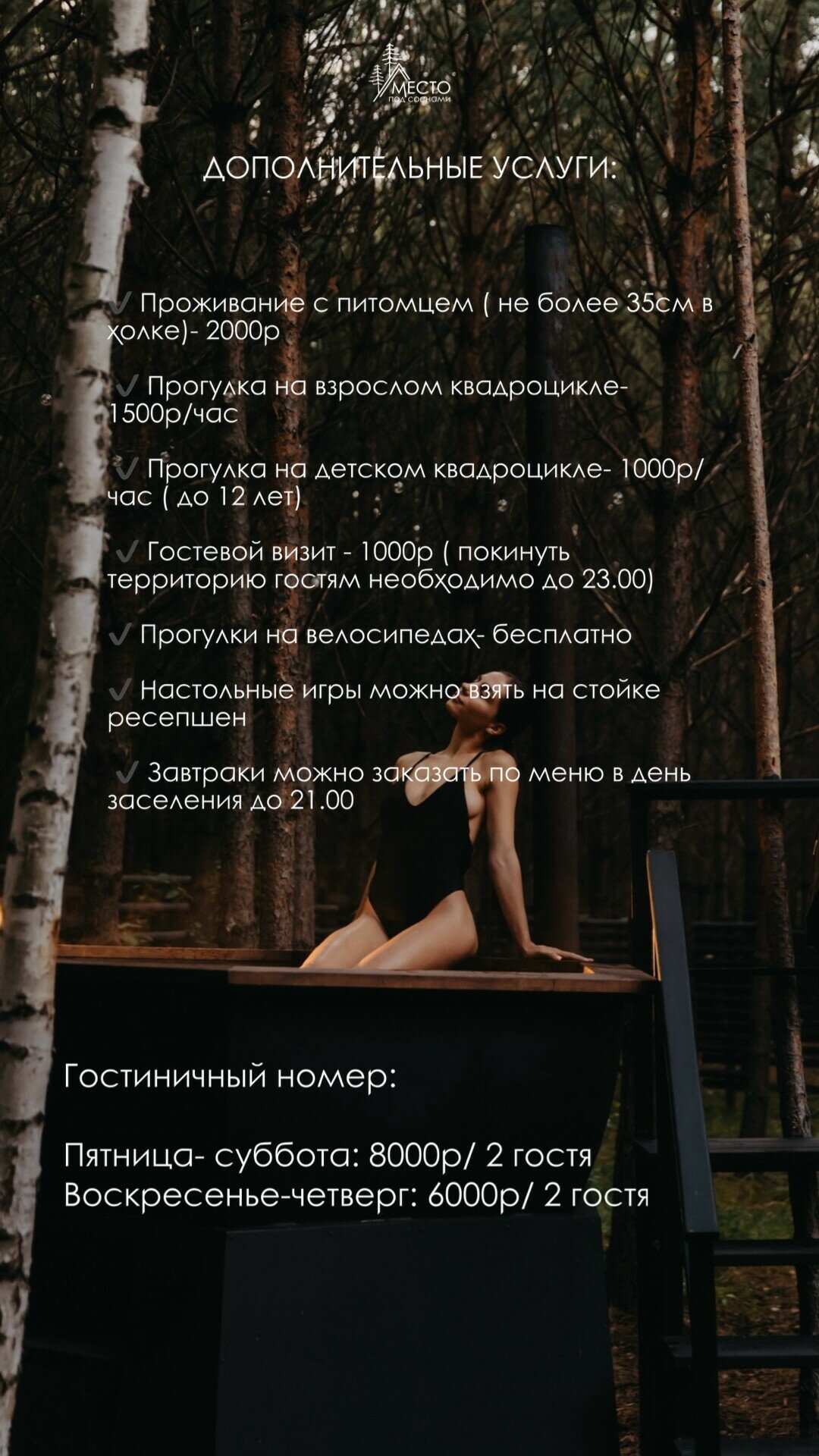 Фото Место под соснами