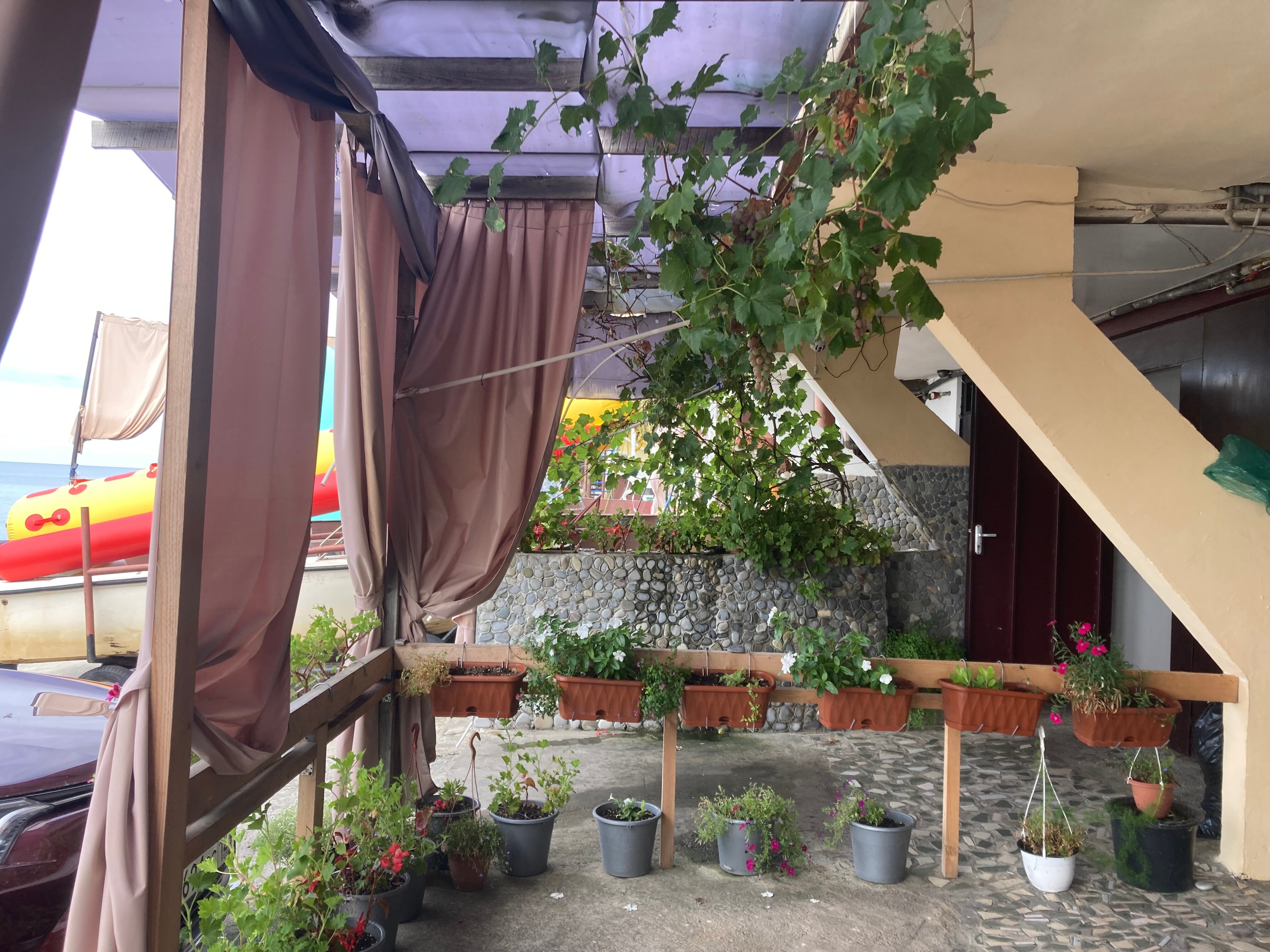 Фото Эллинг Дважды два