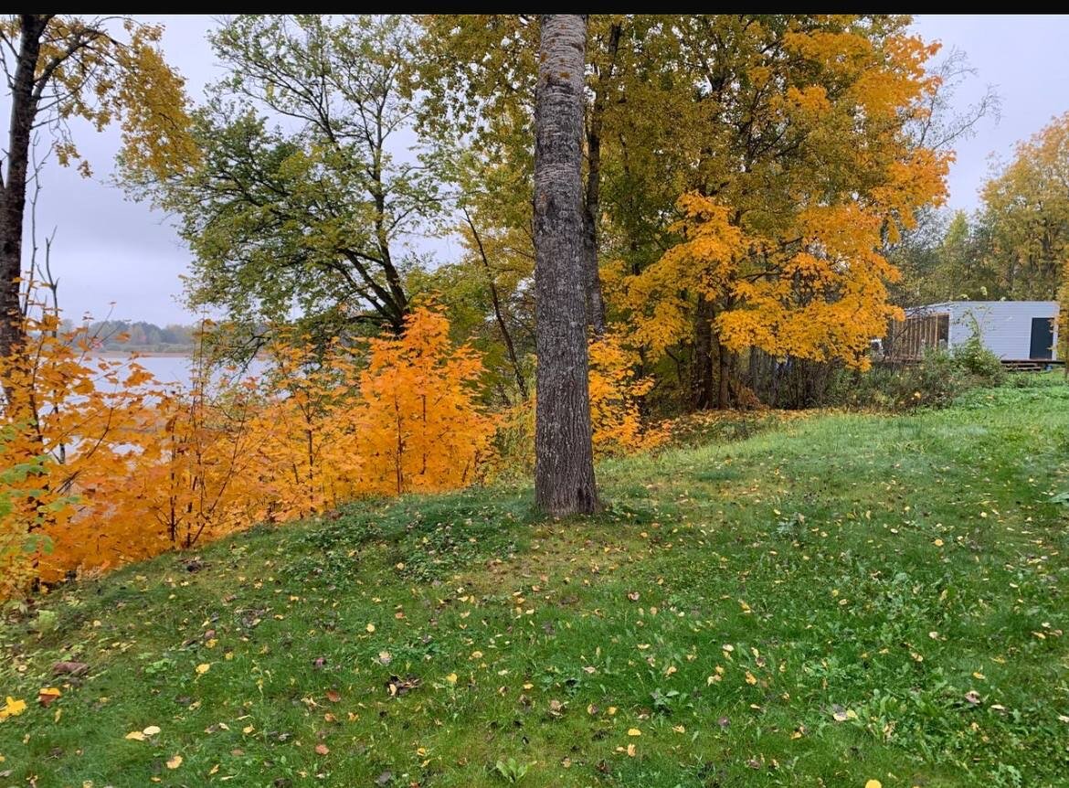 Фото Сердце Селигера