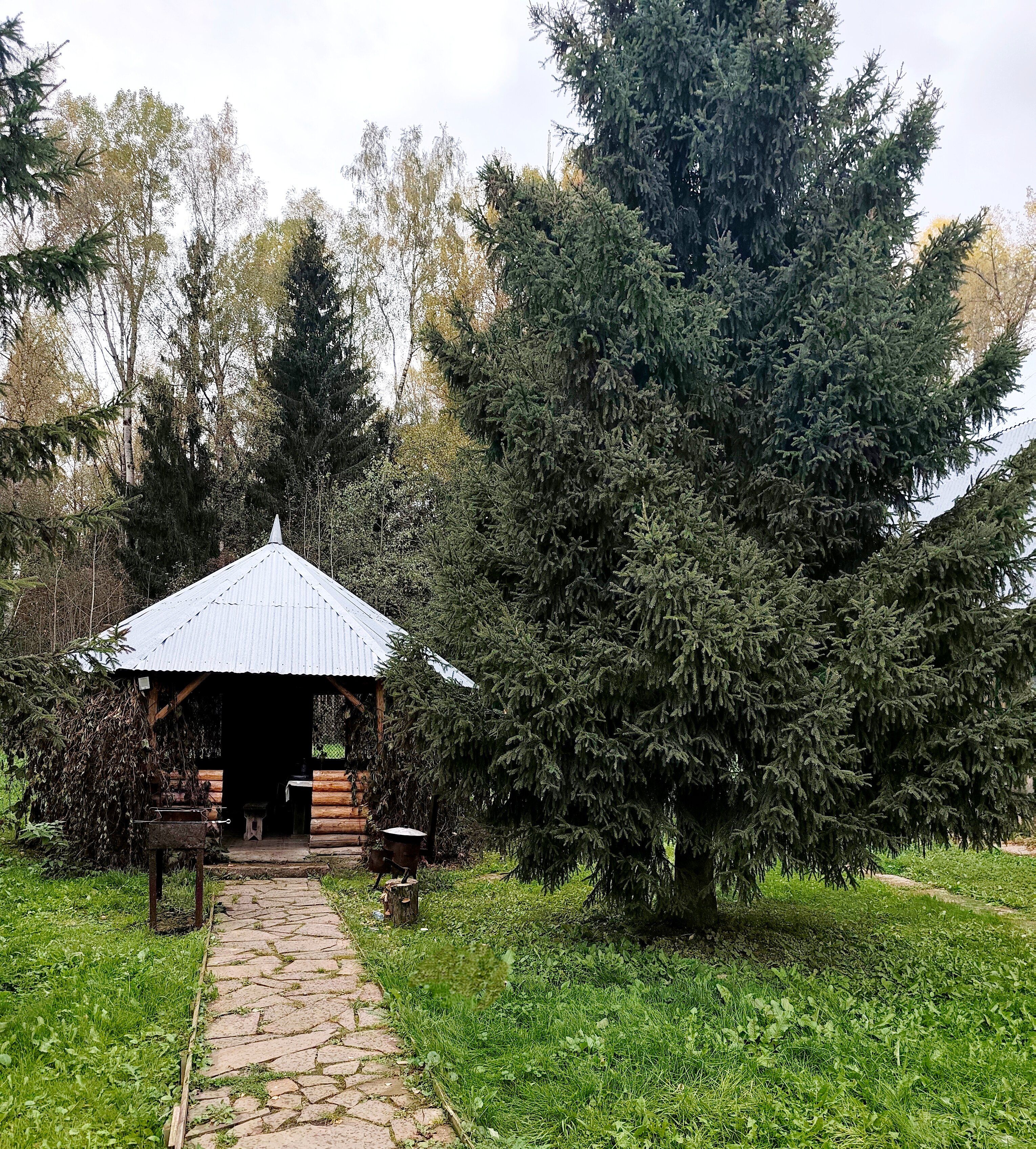 Фото Романов дача