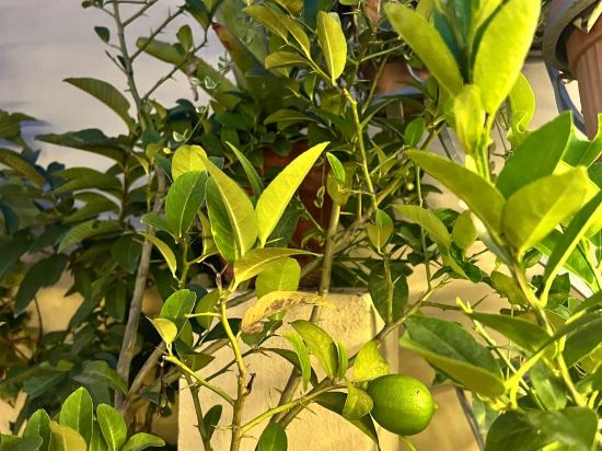 Фото Holiday Hostel