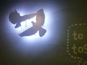 Гостиница Harbin Walker Coffee Hotel