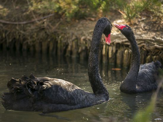 Фото Hotel Marinela Sofia