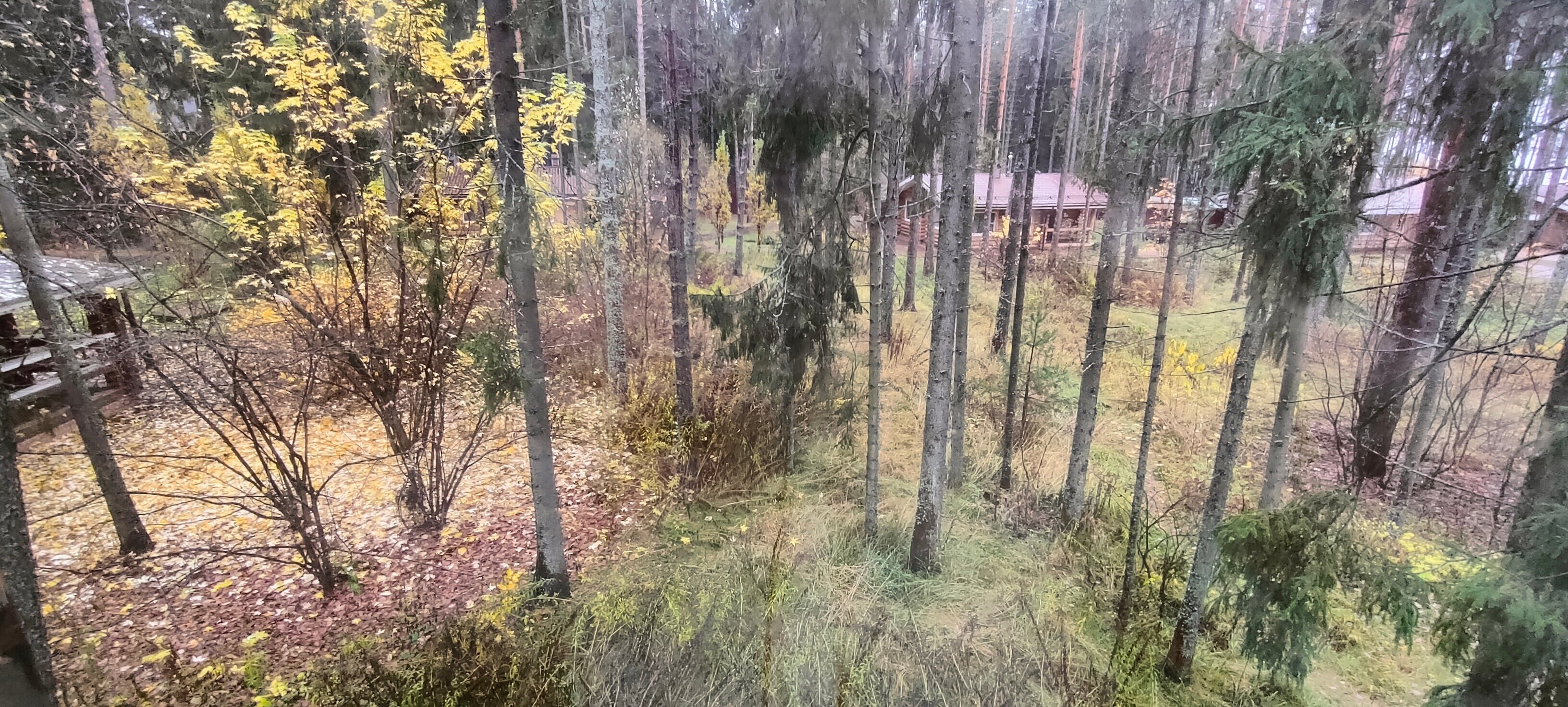 Фото Изумрудное