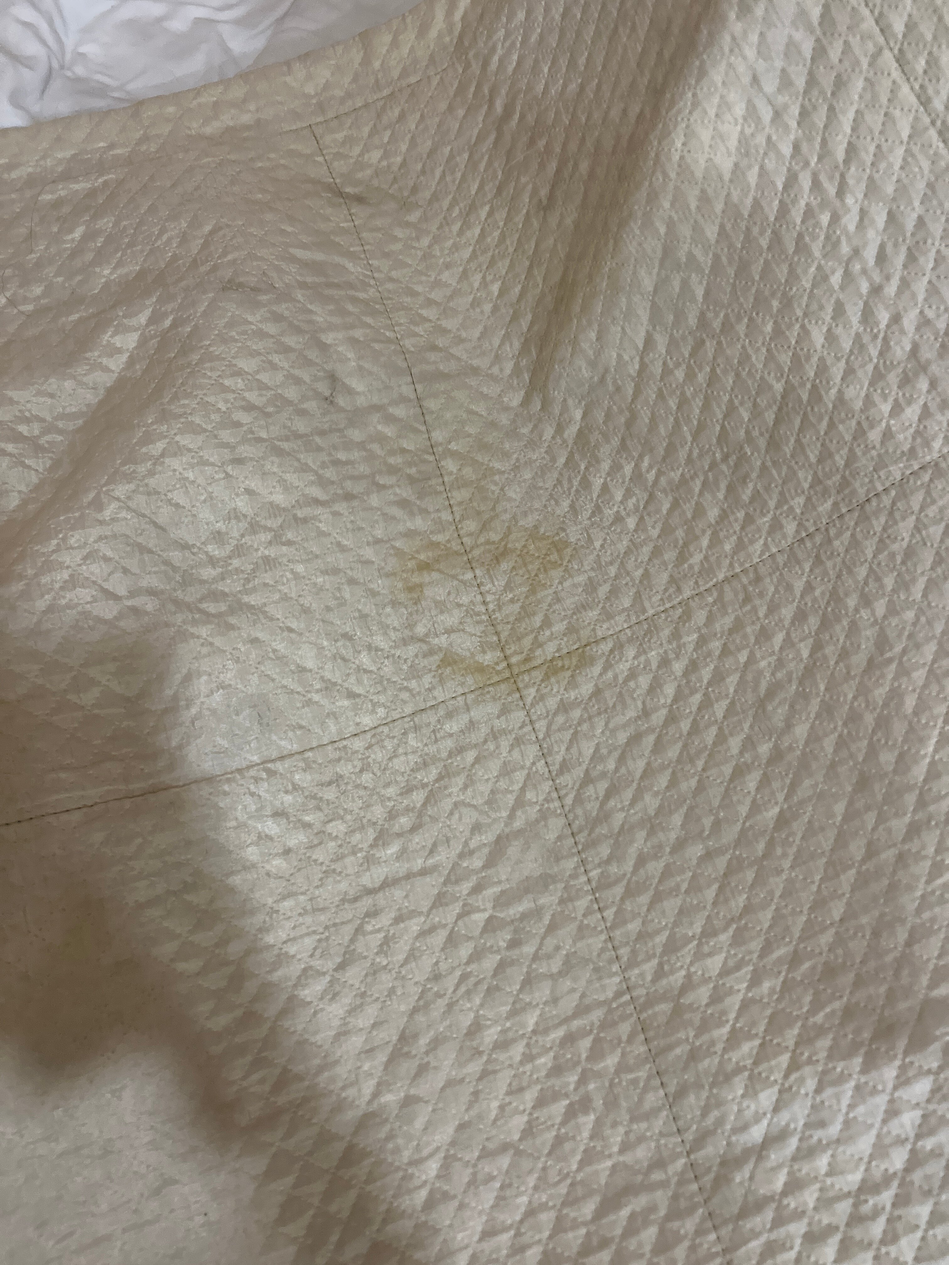 Фото Пеликан