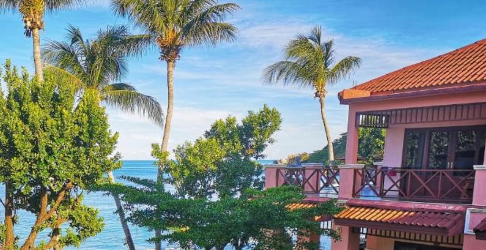 Фото Little Paradise