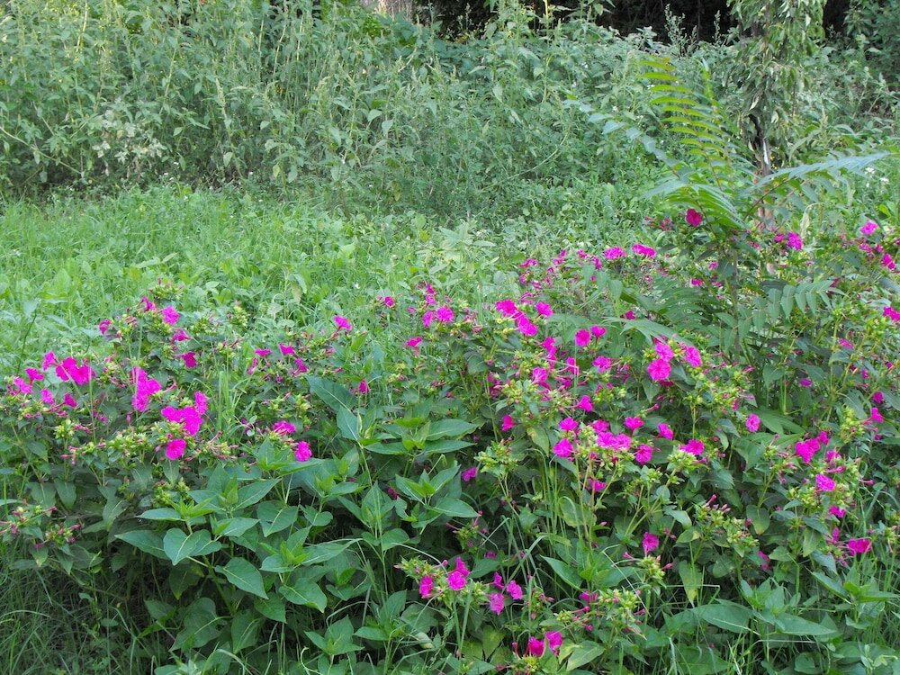 Фото Villa Trigona