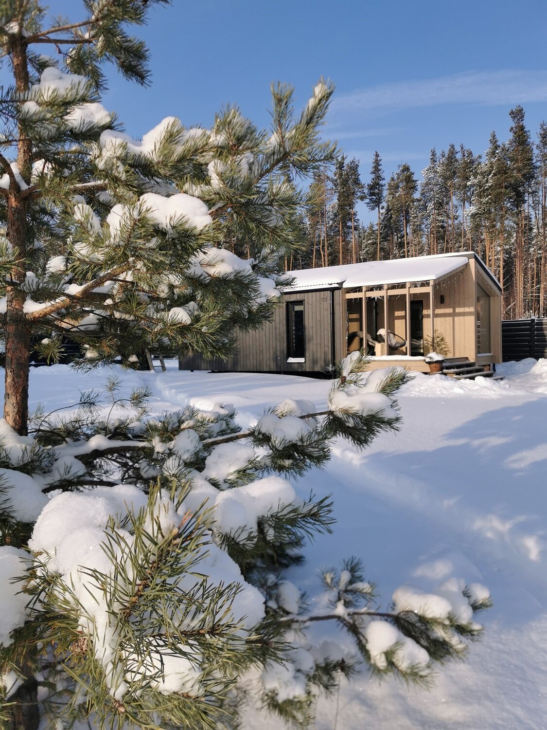 Фото Дача в соснах