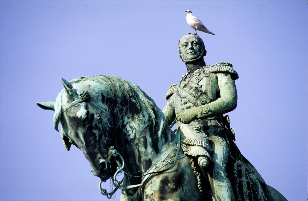 Фото Hotel Indigo The Hague - Palace Noordeinde, an Ihg Hotel