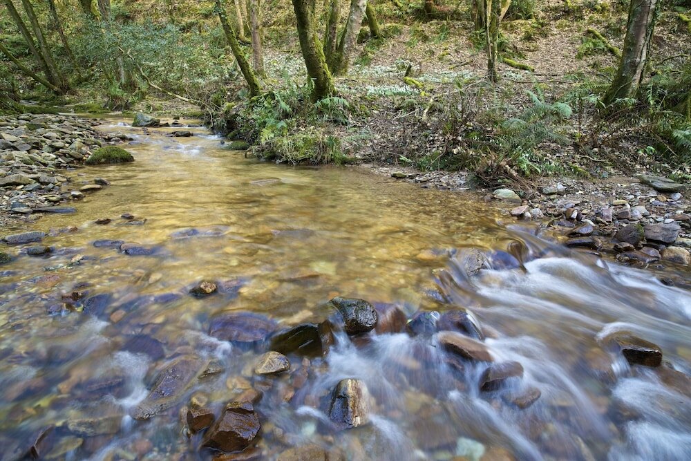 Фото Exmoor White Horse Inn
