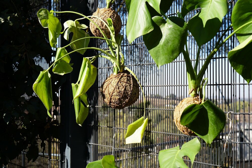 Фото Pablo House