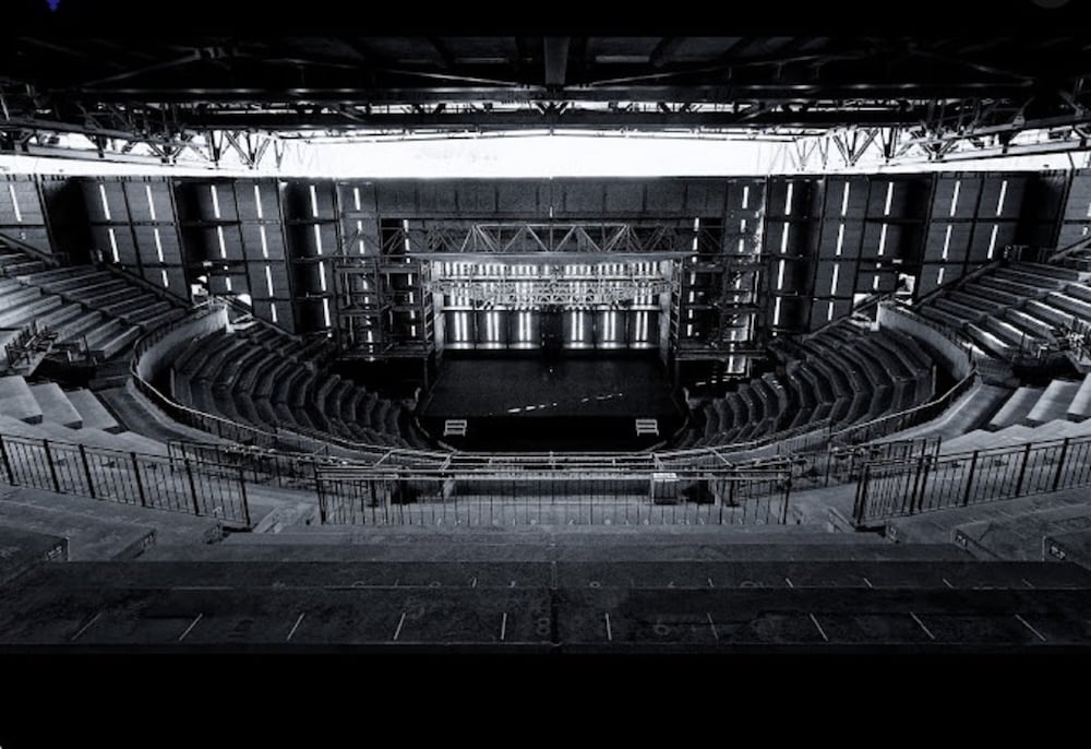 Фото Lupinus Kawaguchiko