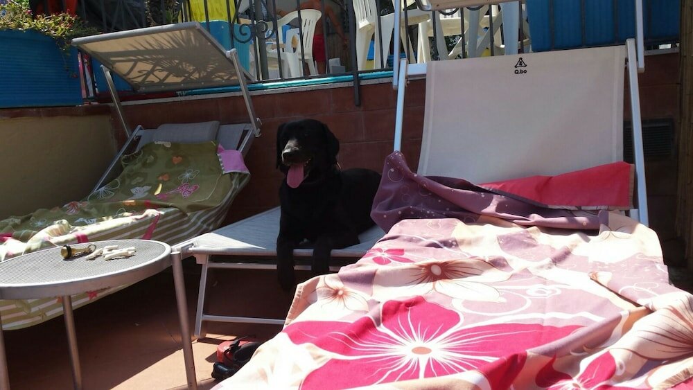 Фото Hotel Villa Igea