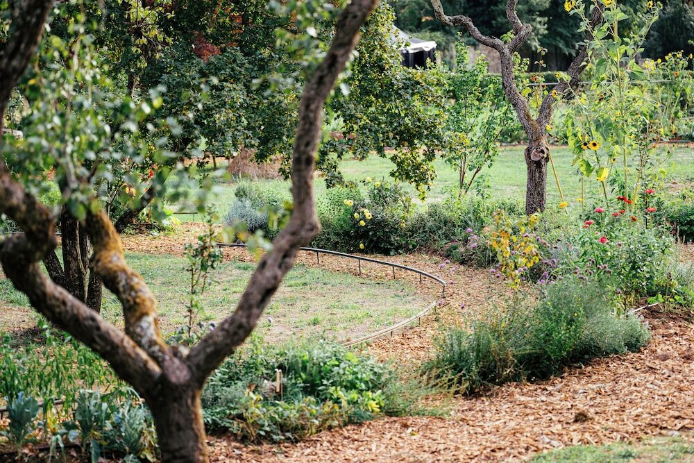 Фото Il Salviatino