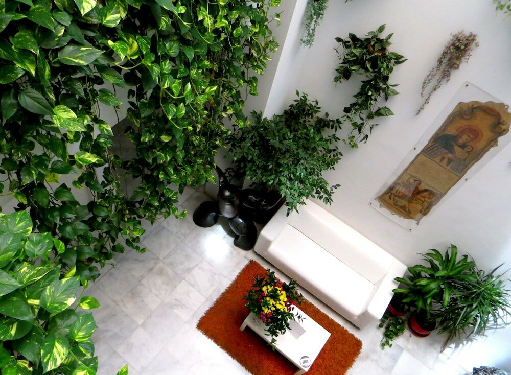 Фото Hotel Un Patio al Sur