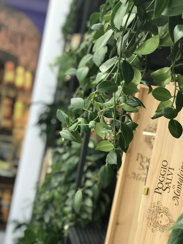 Фото Hotel Colosseo Tirana