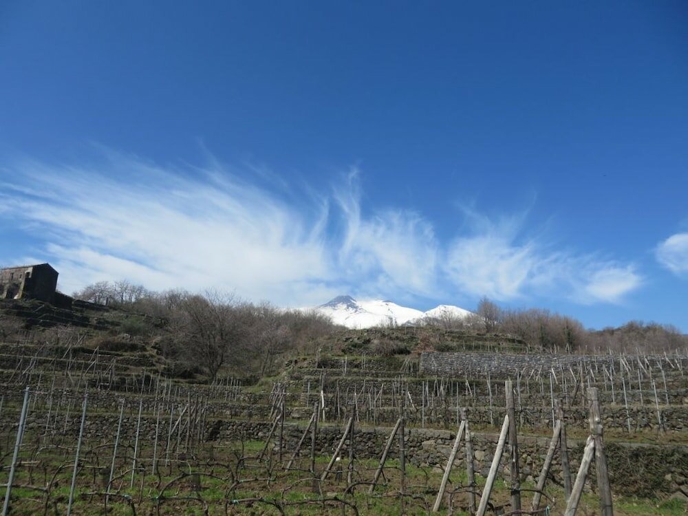 Фото Le Case del Merlo