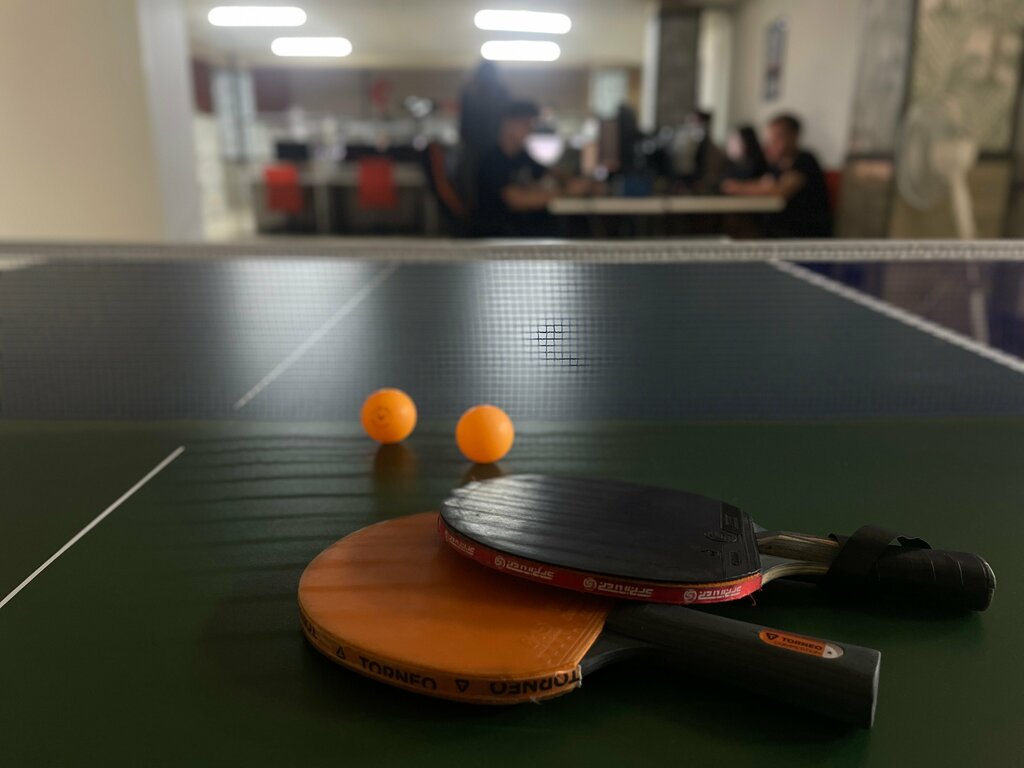 Monitoring of motor vehicles Ставтрэк, Tula, photo