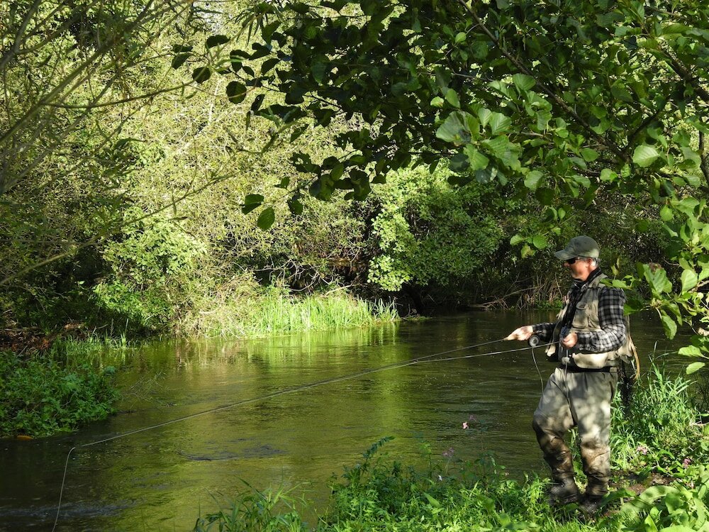Фото Brambles Bed and Breakfast