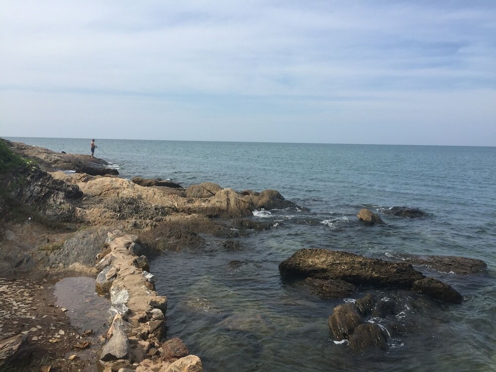 Фото Tree Roots Retreat