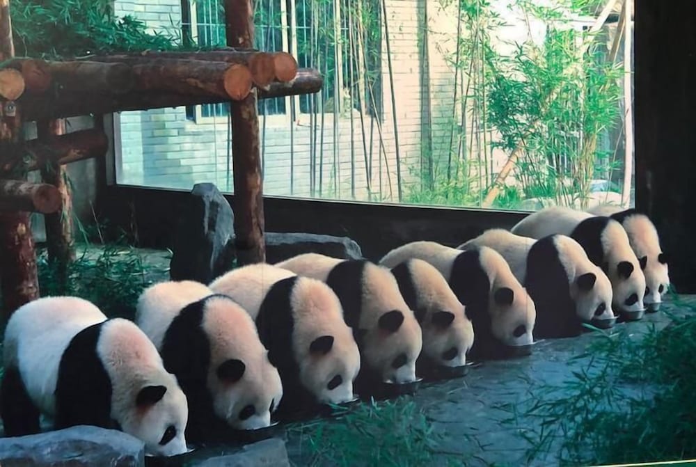 Фото Shanghai Vintage Hotel Disneyland Branch