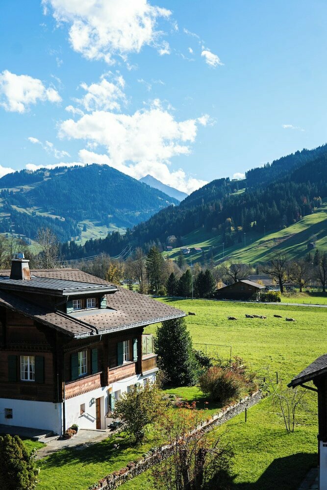 Hotel Hotel Spitzhorn, Saanen, photo