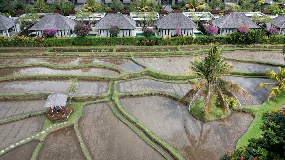 Фото Visesa Ubud Resort