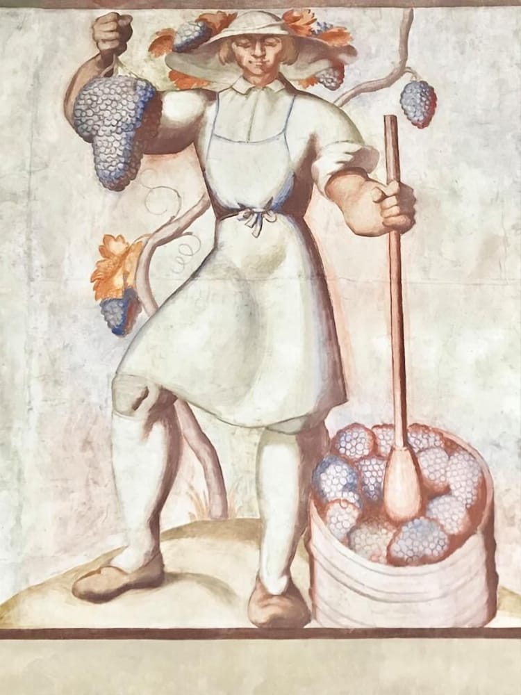 Фото Scala-Stiegl