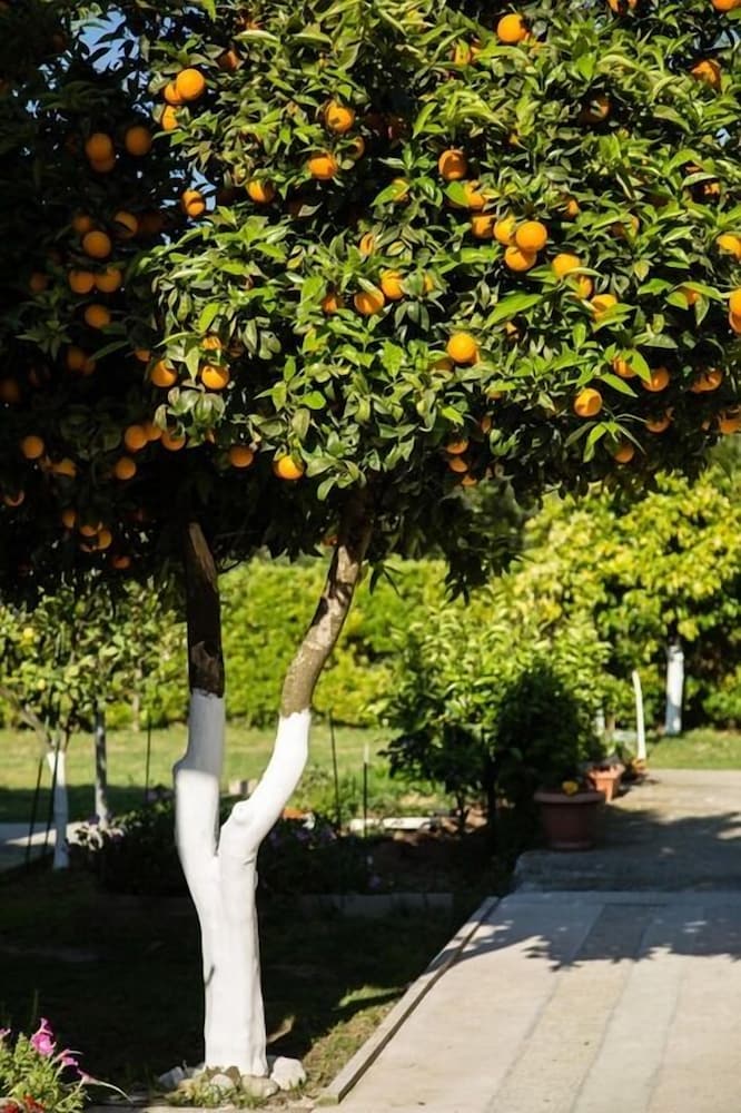 Фото Paradise Village