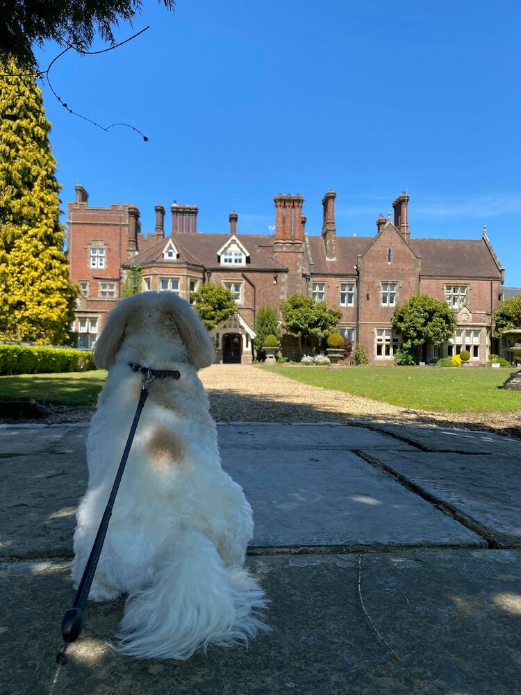 Фото Alexander House And Utopia SPA