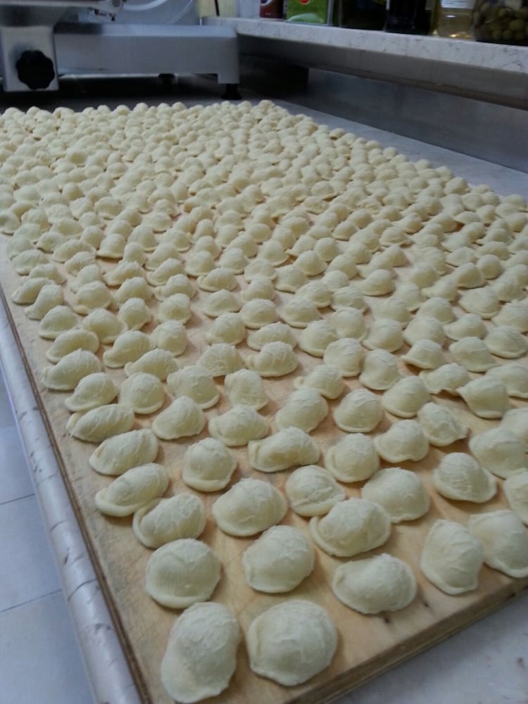 Фото Hotel Orchidea